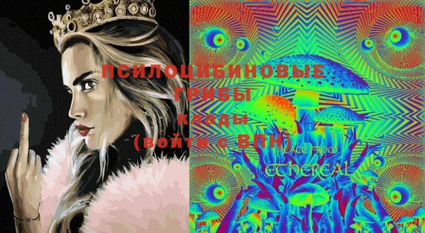PSILOCYBIN Майский