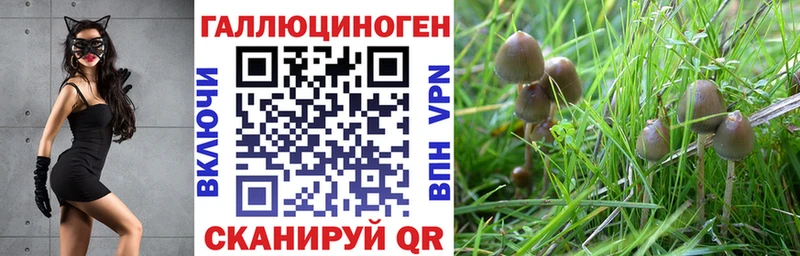 Галлюциногенные грибы Psilocybine cubensis Эртиль