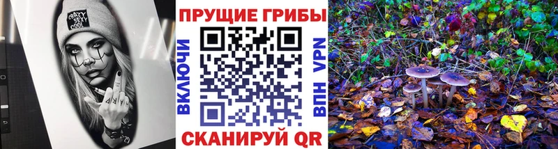 что такое   Эртиль  Галлюциногенные грибы Cubensis 